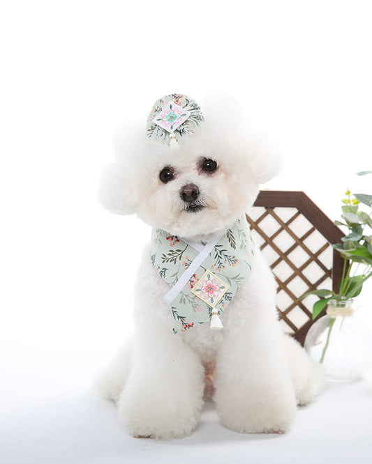 Hanbok flower dog cape
