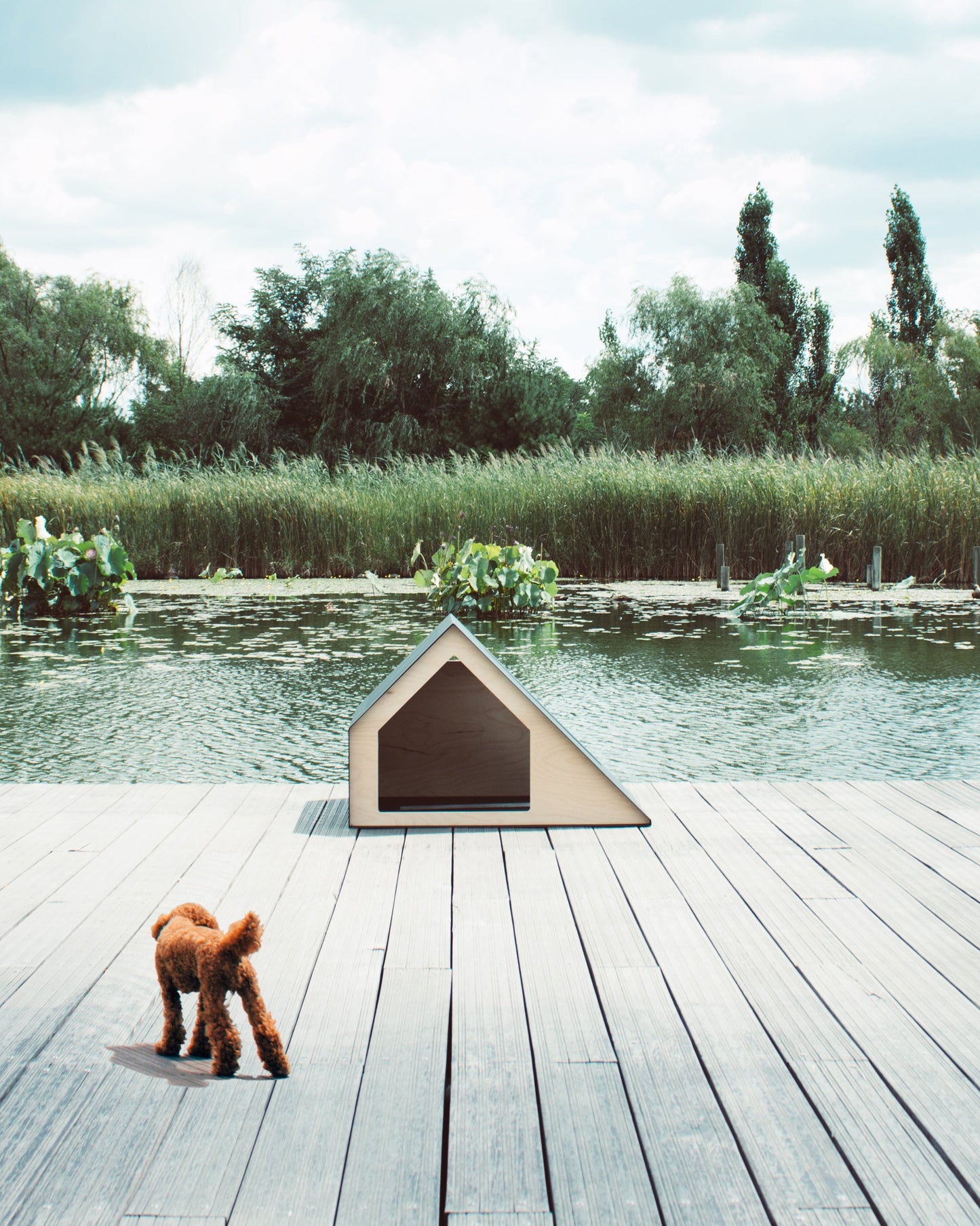 Deauville Pet House . Black
