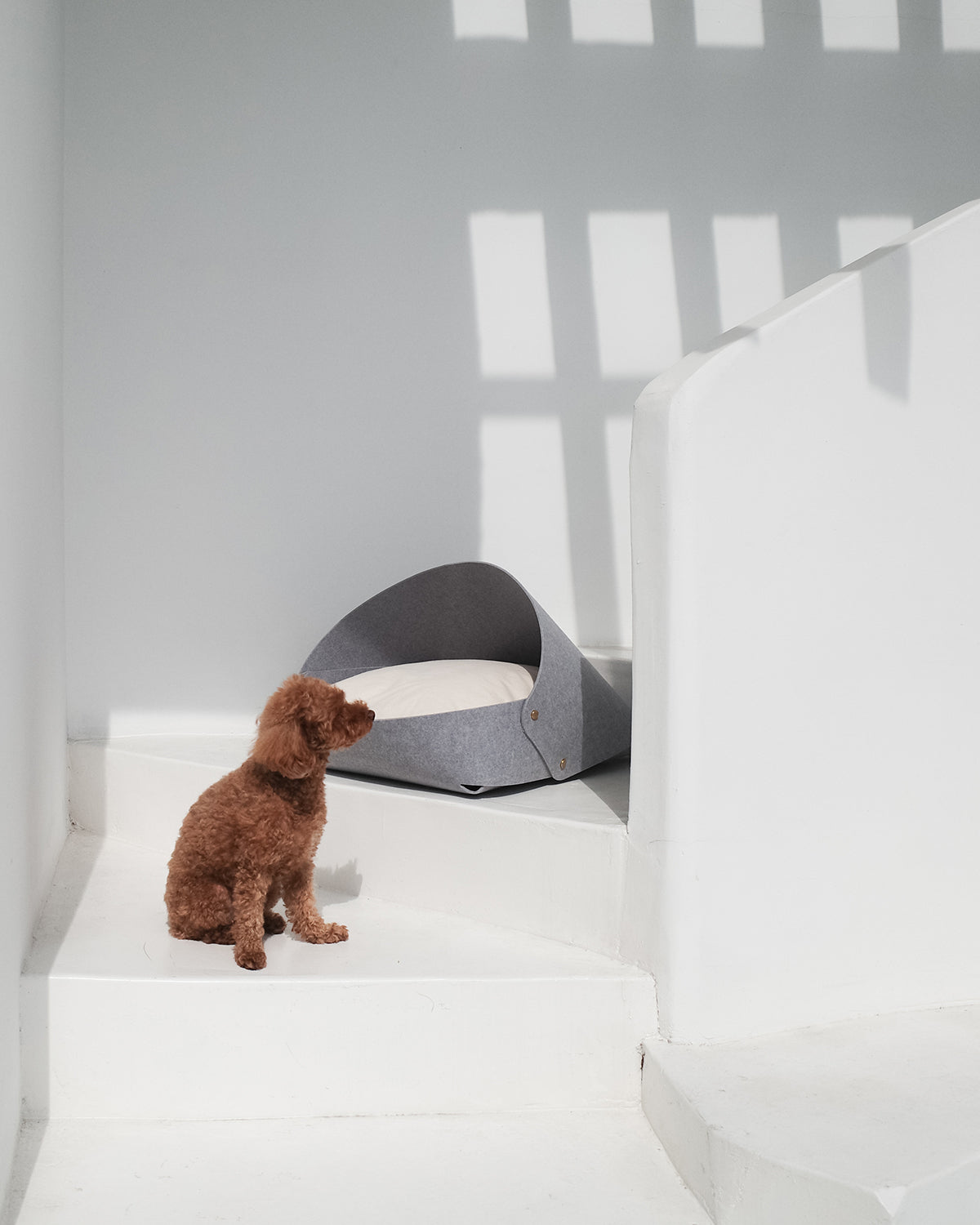 MARRON BED . GRAY