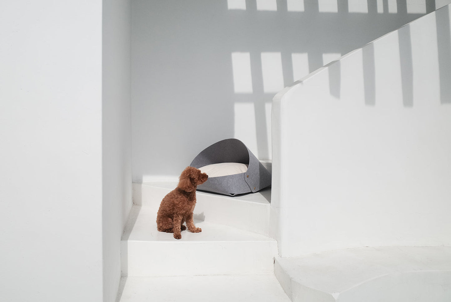 MARRON BED . GRAY